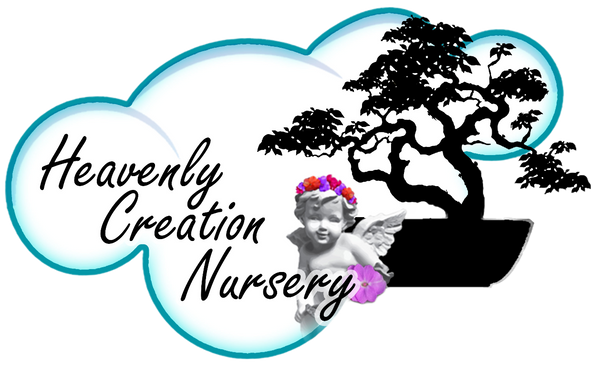 Heavenly Creation Nursery