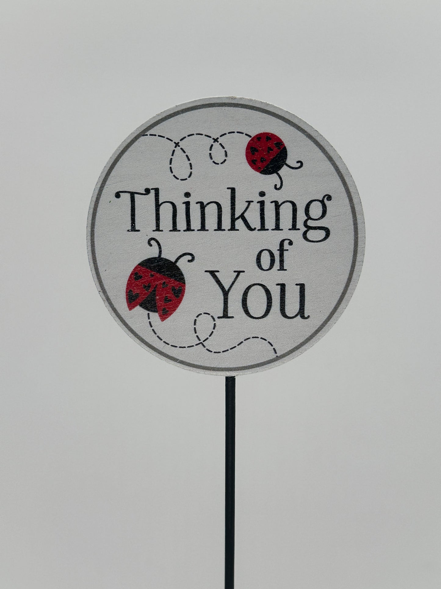 Thinking Of You - Plant Pick